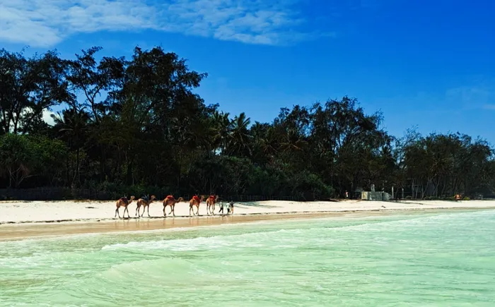 Diani, Kenya