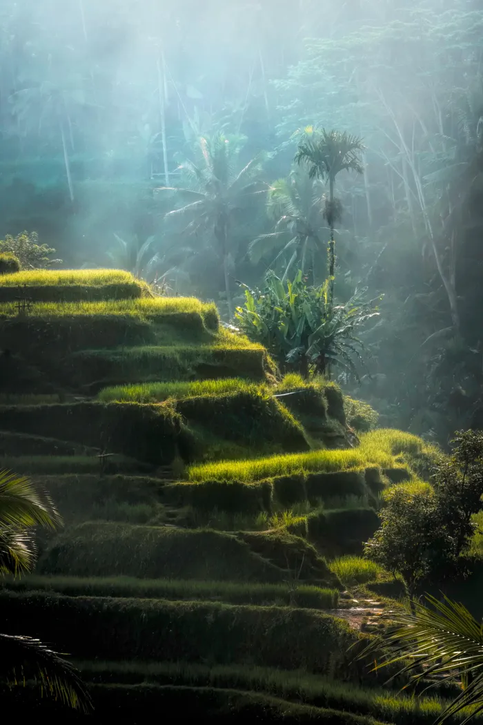 Bali