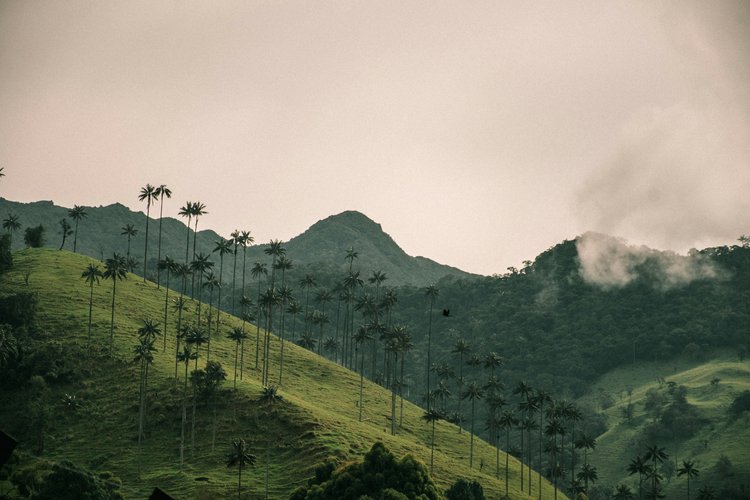 Medellin, Colombia