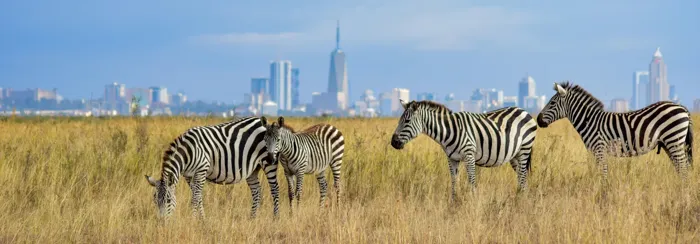 Nairobi