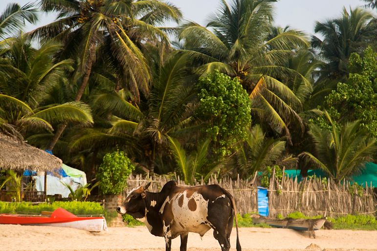 Goa, India
