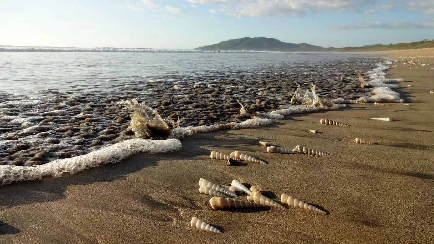 Playa Grande, Costa Rica
