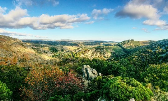 Boffres, France