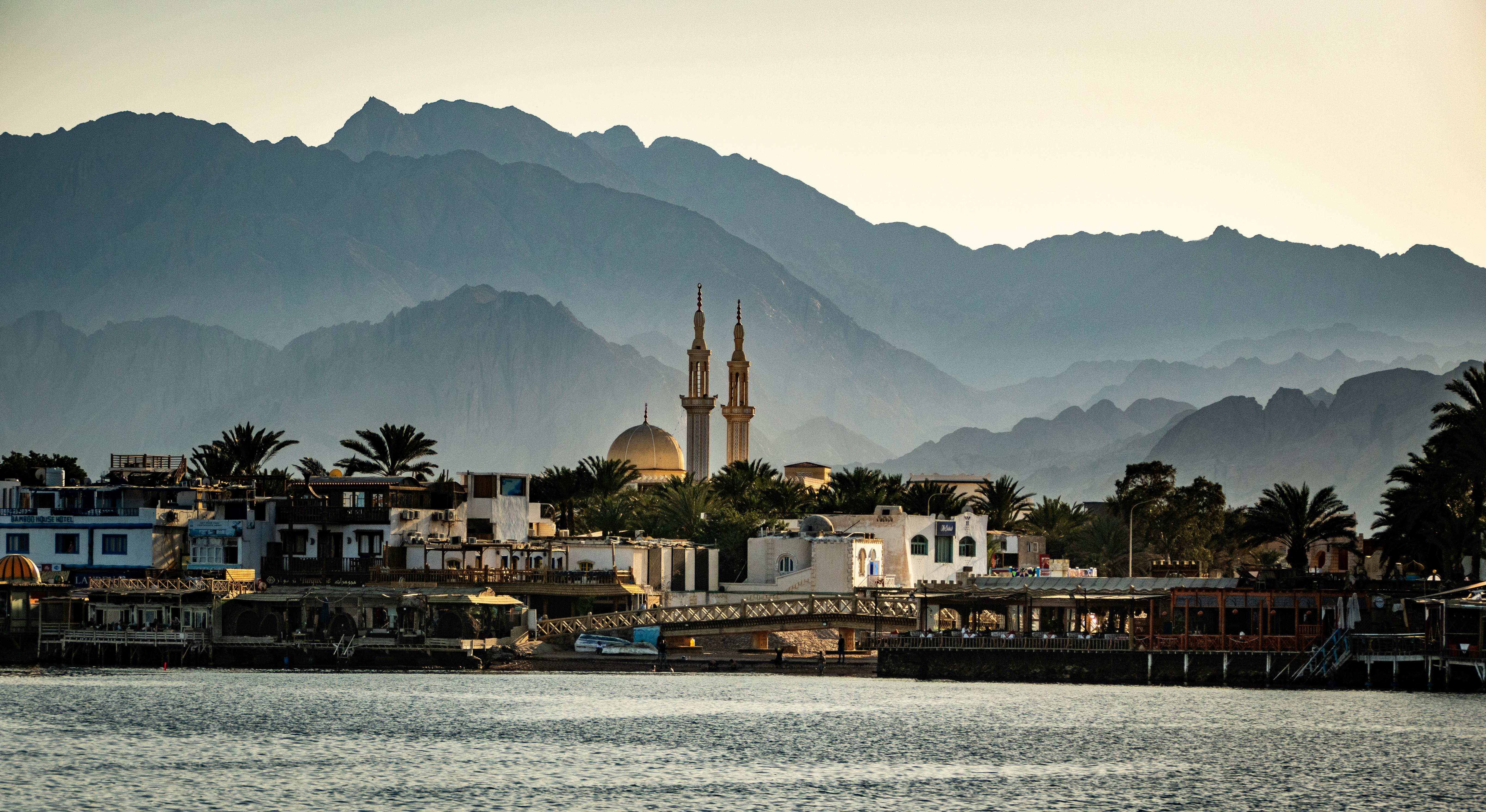 Alumni Exclusive, Egypt