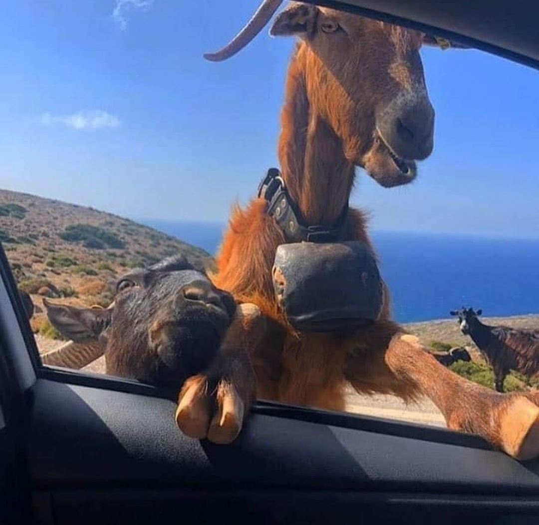 Ikaria, Greece