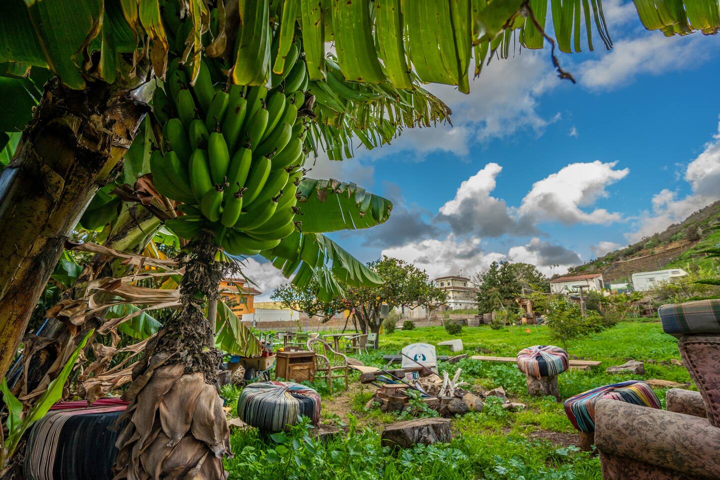 Tegueste, Canary Islands