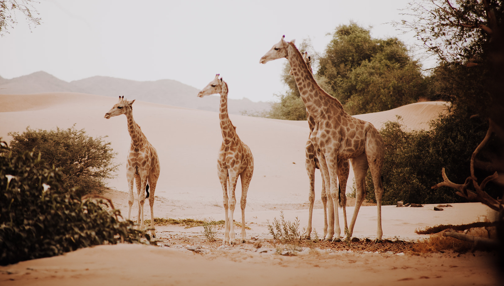 Windhoek, Namibia